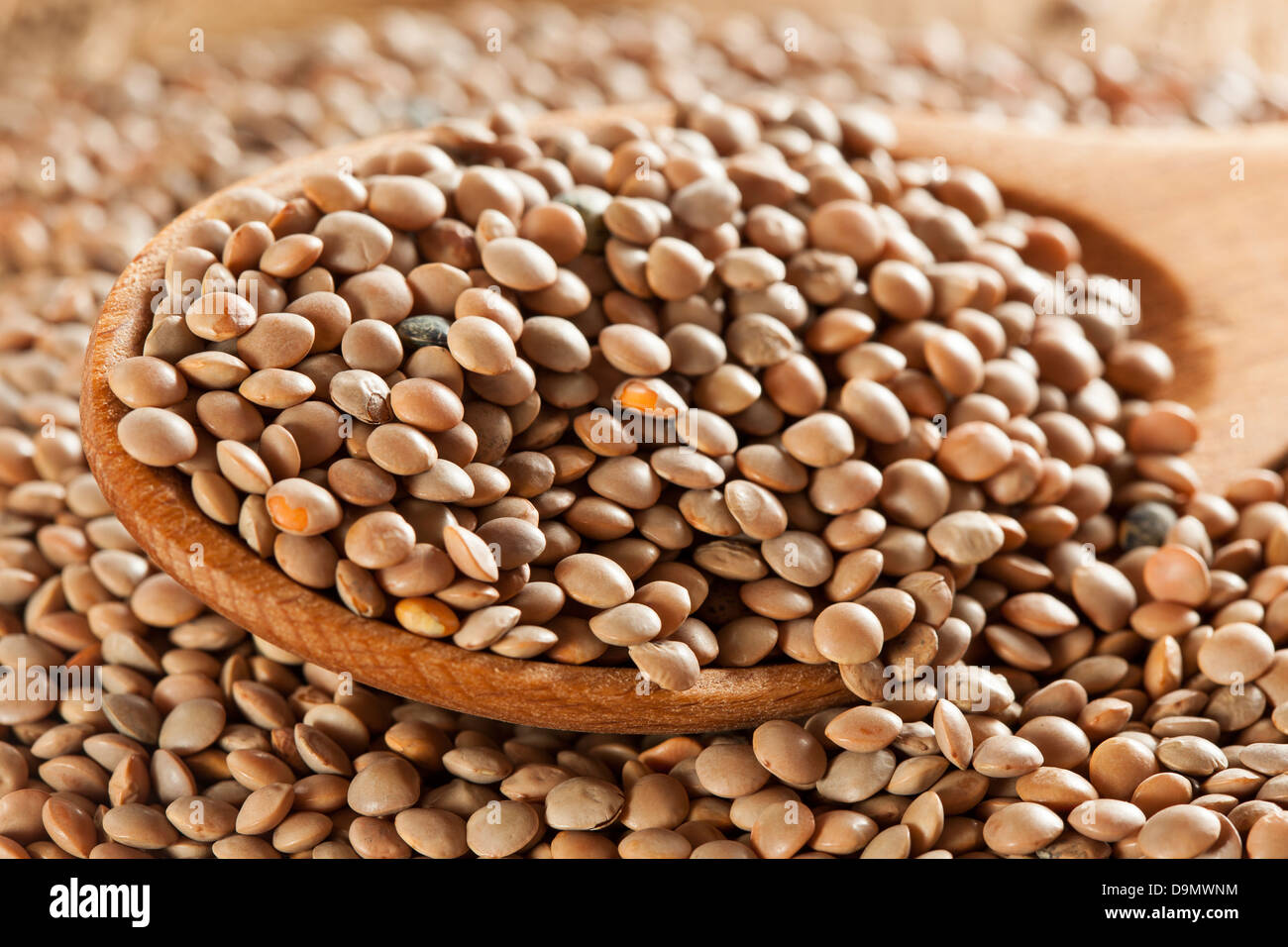 Dry Organic Brown Lentils against a background Stock Photo