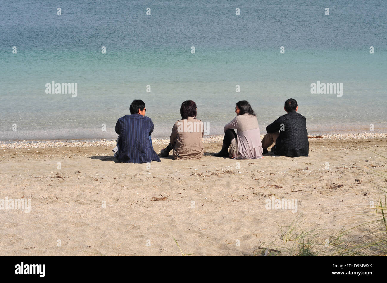 A group of students on the beach Stock Photo - Alamy