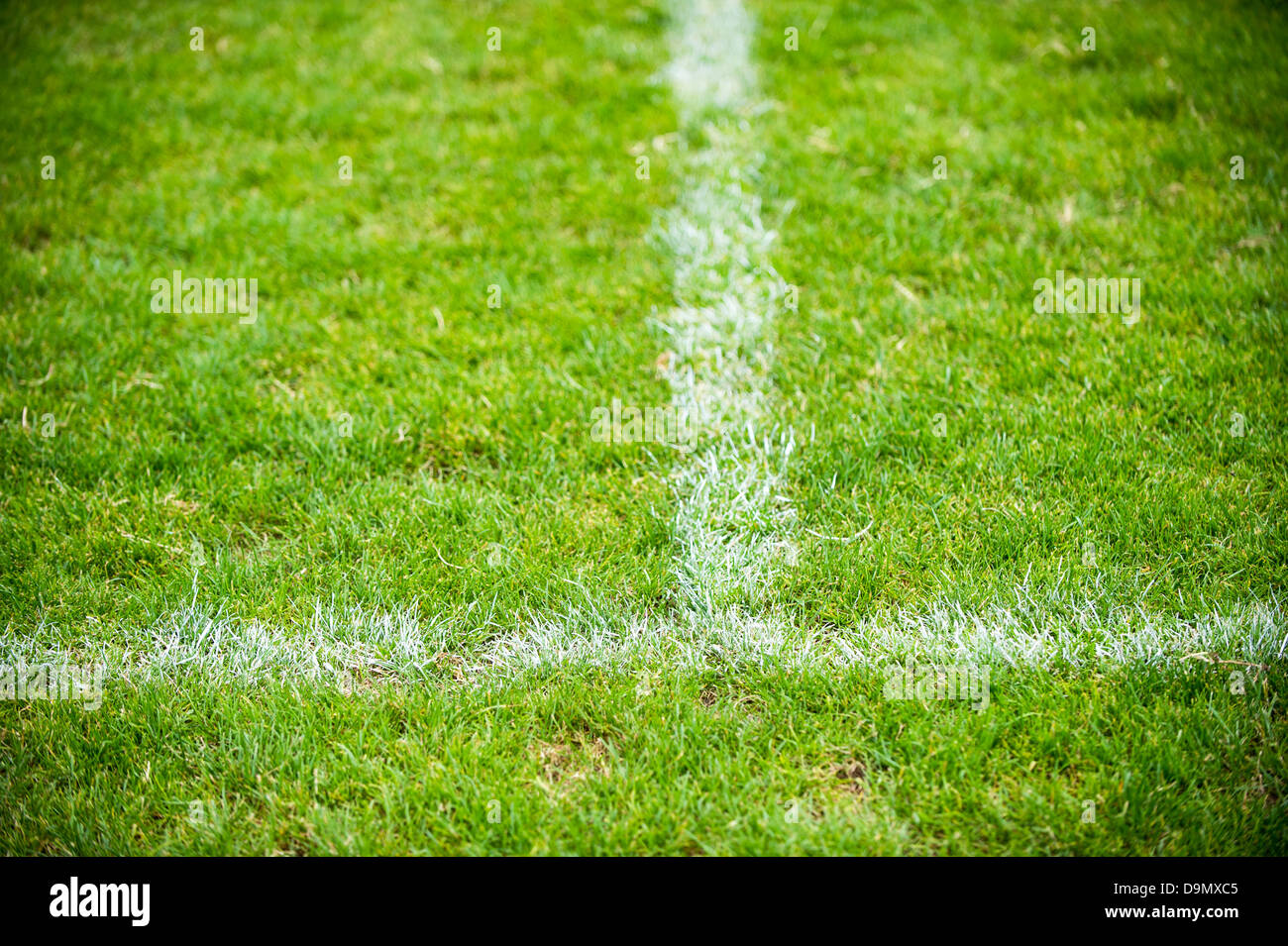 Lines on a football field Stock Photo - Alamy