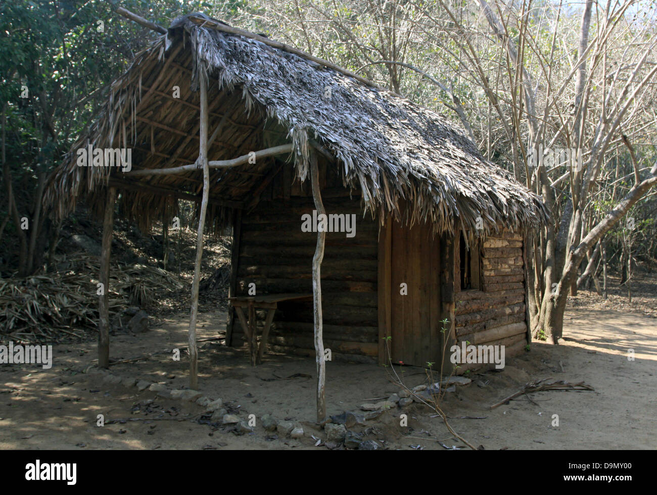 The resconstruction of an old farm house stand between trees near the