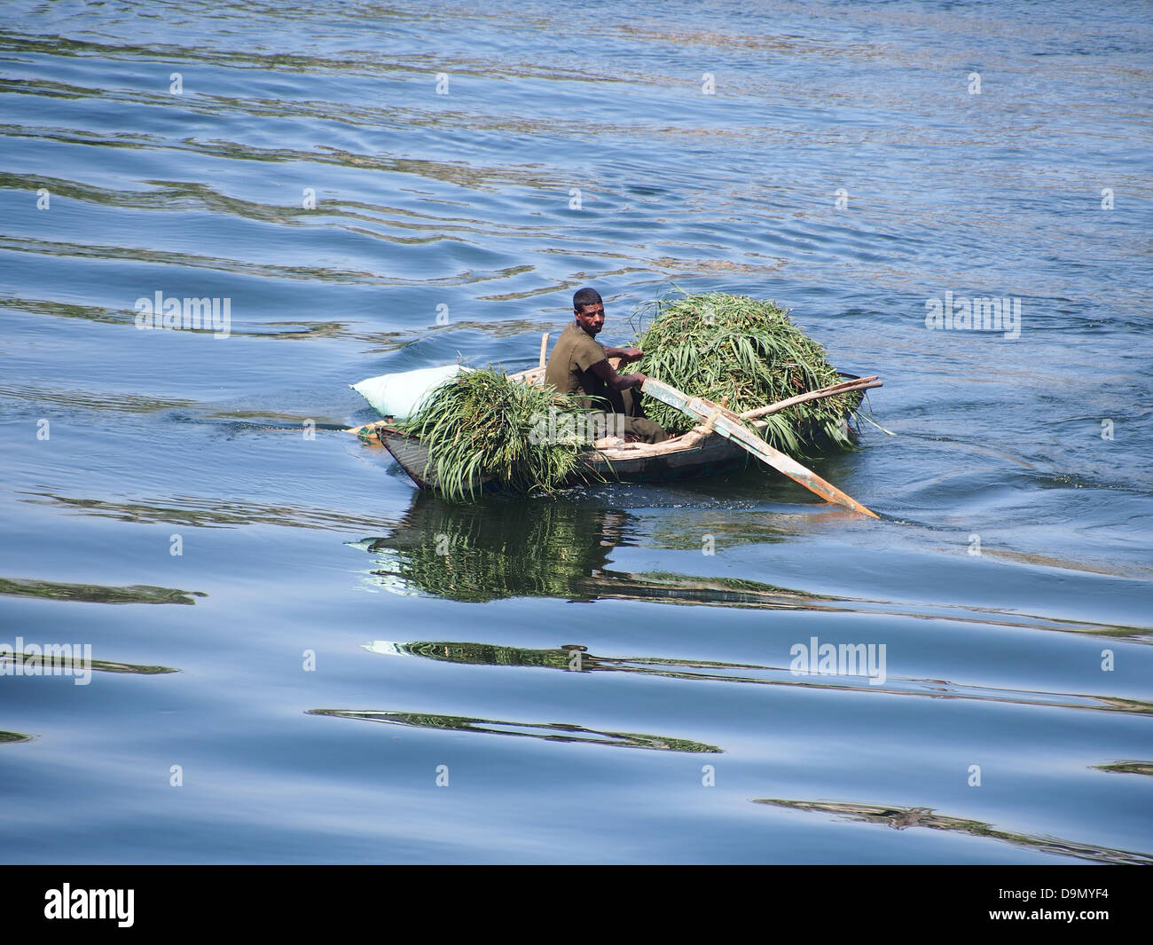 A man in a rowing boat laden with reeds on the River Nile, Egypt Stock Photo