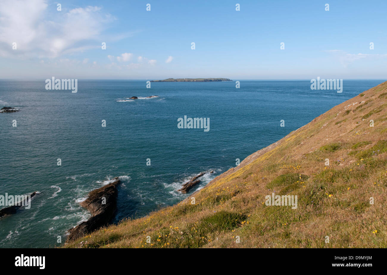 View towards Skokholm Island, Pembrokeshire, from Deer Park Stock Photo