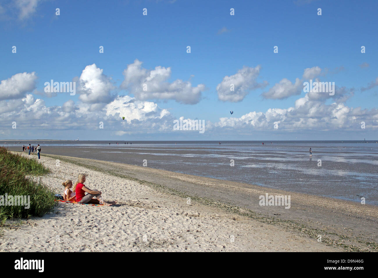 Germany, germany, Lower Saxony, lower saxony, wangerland, schillig, beach,  dies down, low tide, beach Stock Photo - Alamy