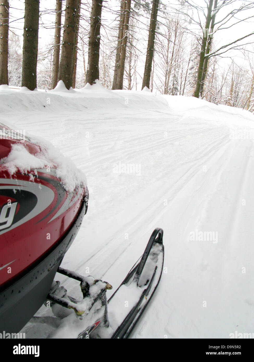 snowmobiling on trail through forest,alpe di mera,piemonte,italy Stock Photo