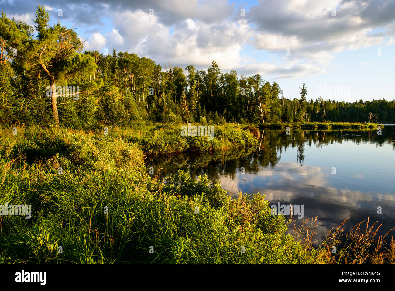 Lush green foliage lines the shore of Swamper Lake along the Gunflint Trail in northern Minnesota. Stock Photo