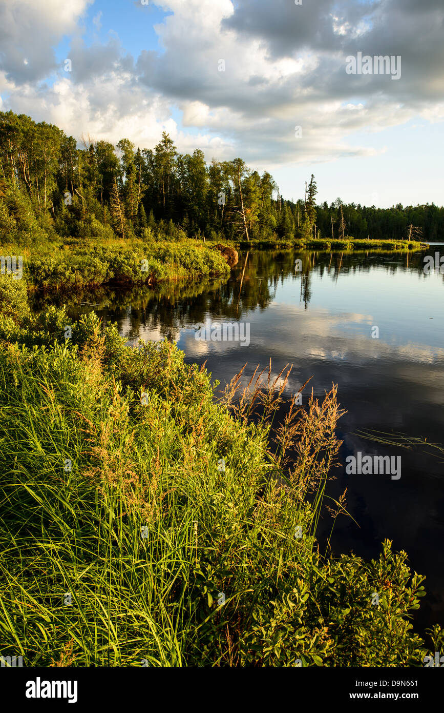 Lush green foliage lines the shore of Swamper Lake along the Gunflint Trail in northern Minnesota. Stock Photo