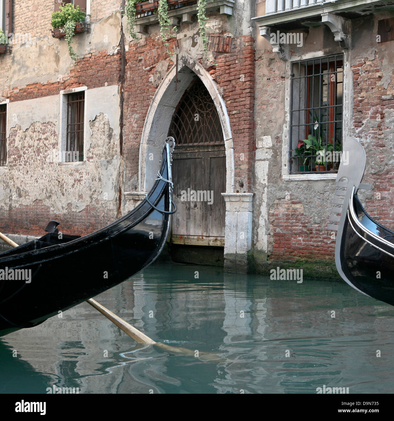 My Image 19