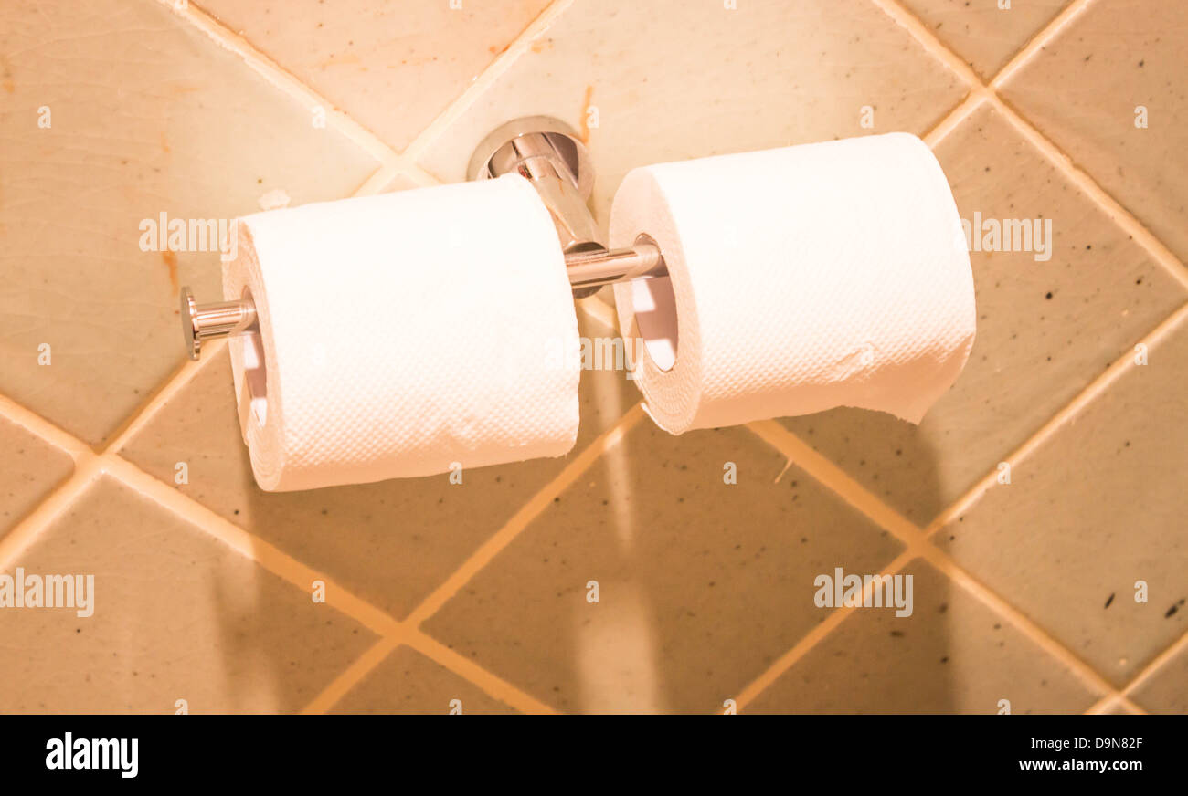 Roll tissue paper in contemporary restroom Stock Photo Alamy