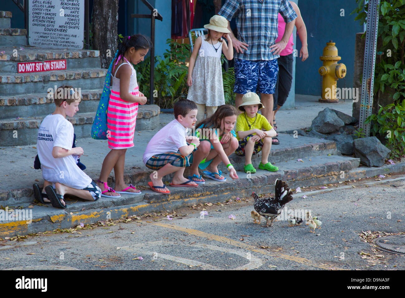 Children feeding chickens in Cruz Bay on the Caribbean Island of St John in the US Virgin Islands Stock Photo