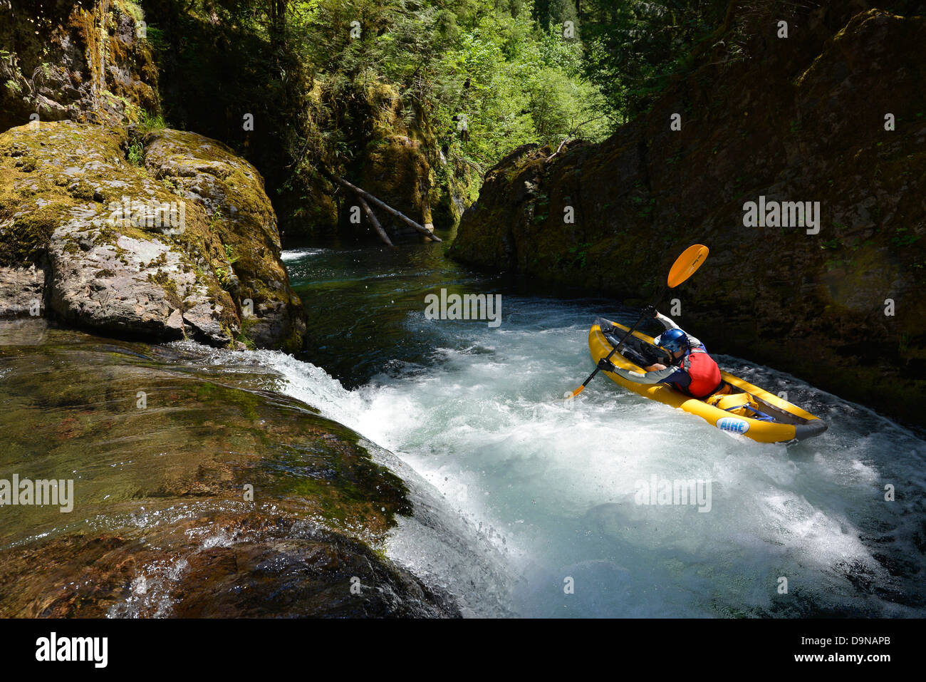 Paddling an inflatable kayak down a small waterfall on the Blue River in the Cascade Range of Oregon. Stock Photo