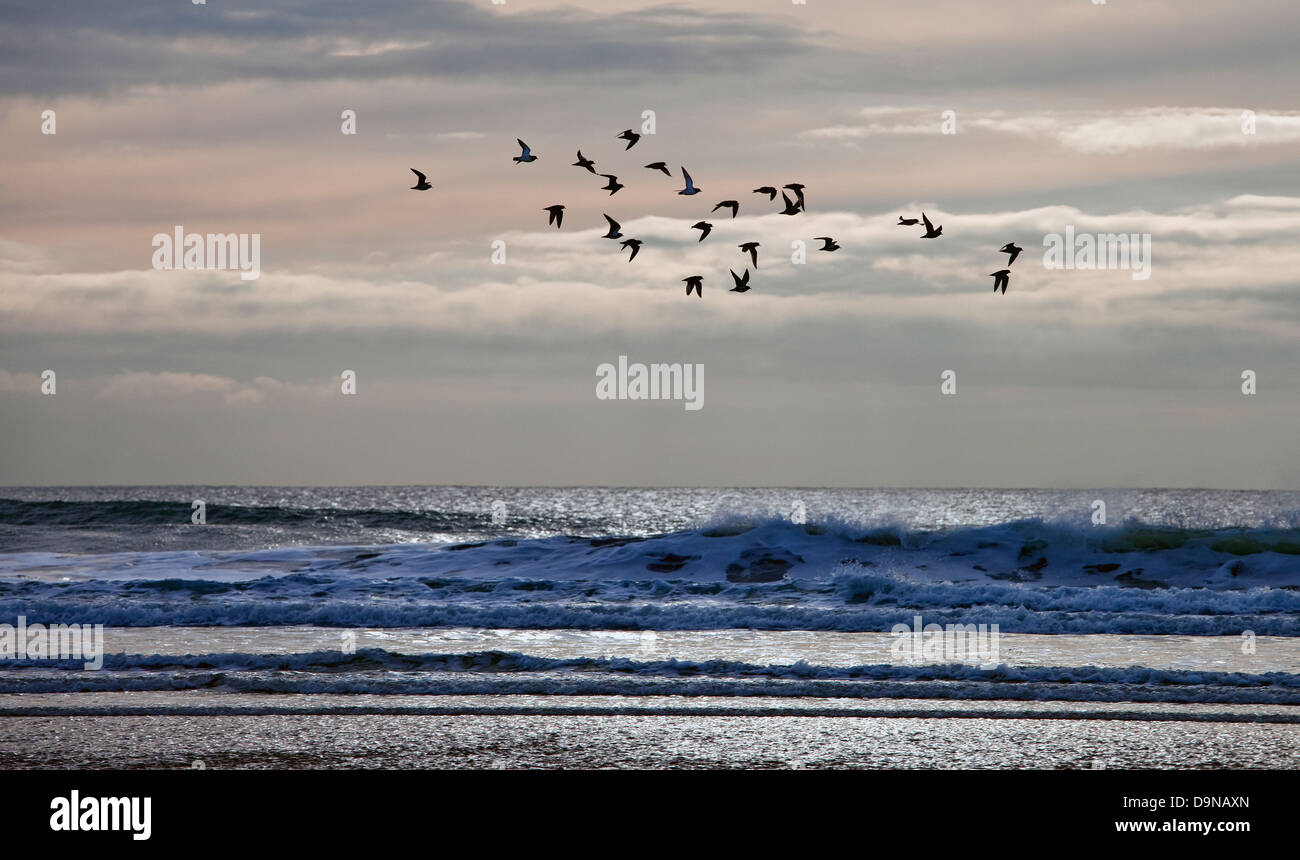 Birds flying high hi-res stock photography and images - Alamy