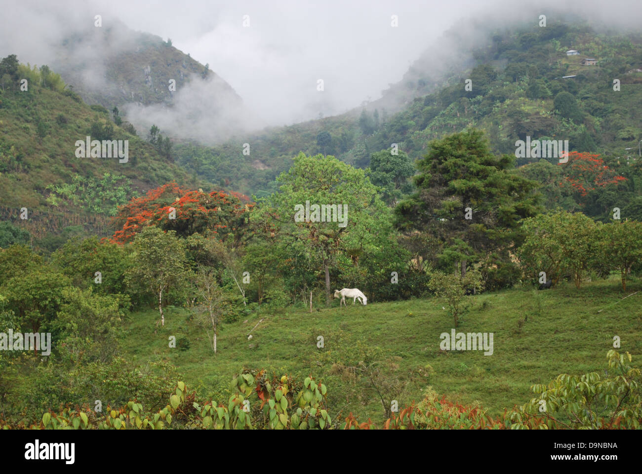 A valley near the archeological site at Tierradentro, department of Cauca, Colombia Stock Photo