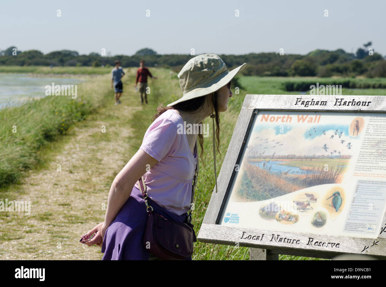 Pagham Harbour Local Nature Reserve UK Stock Photo