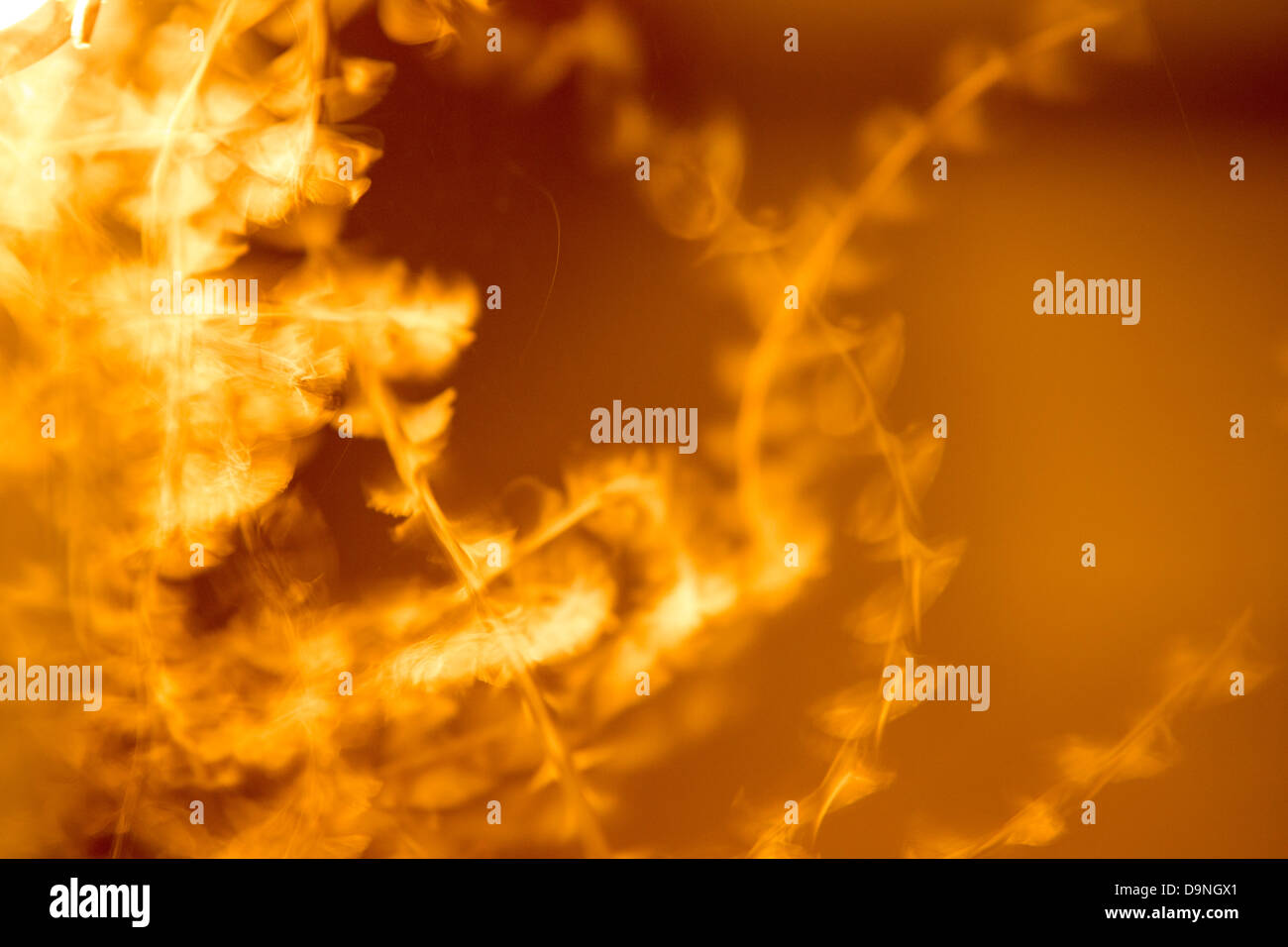 Moths attracted to light hires stock photography and images Alamy