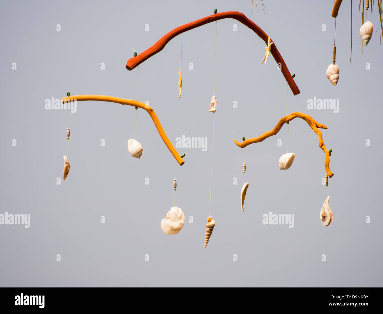 Shell balance hi-res stock photography and images - Alamy