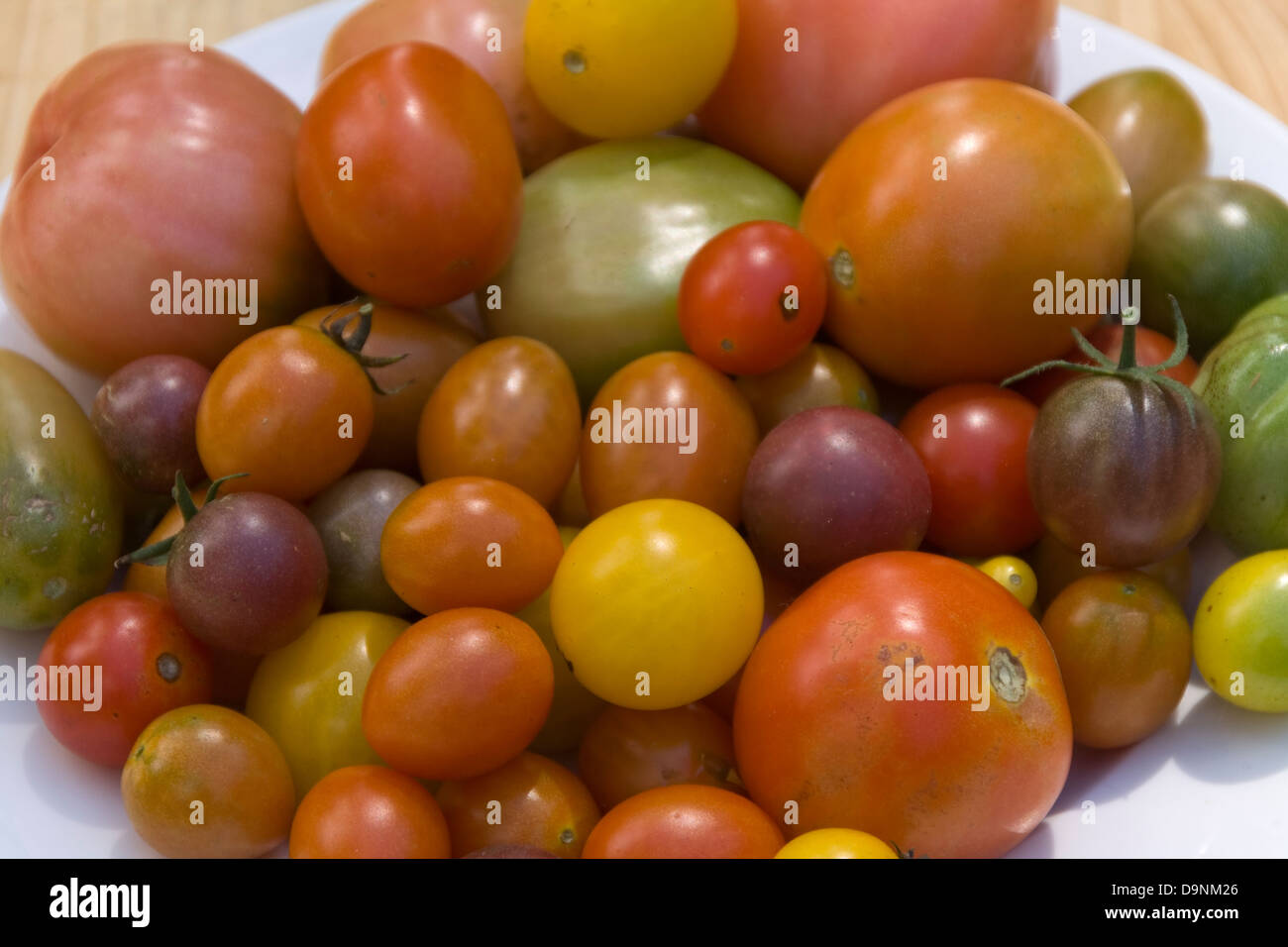 A mixed plate of freshly harvested tomato varieties Stock Photo