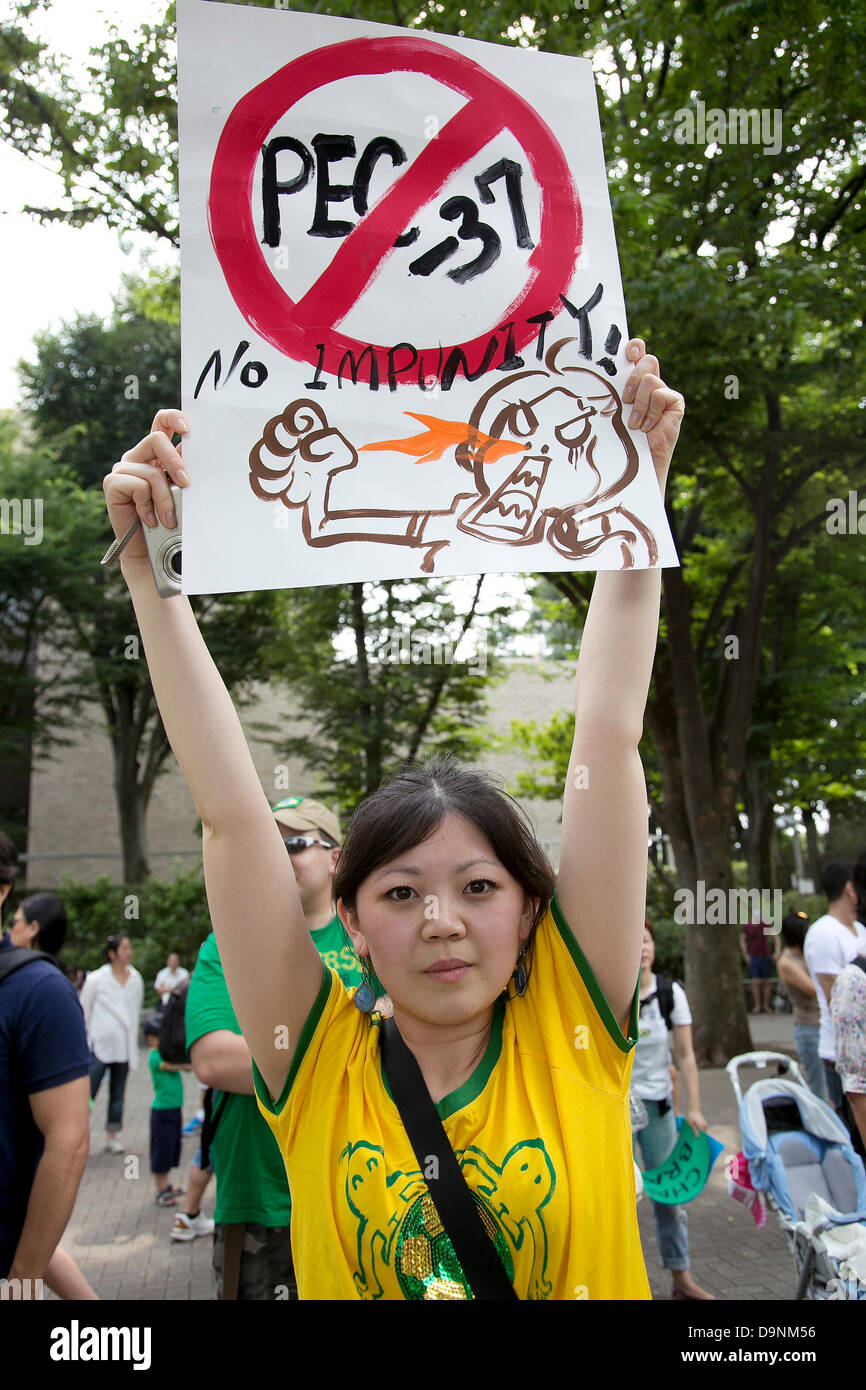 Tokyo, Japan. June 23, 2013. A hundred of Brazilians hold placards and wave their country's national flag in Yoyogi Park to support the anti-government protest in Brazil against high taxes, inflation, corruption to rising prices and poor public services in hospitals and schools on June 23, 2013. Demonstrators are also denouncing the government spent billions of dollars for the 2014 World Cup and 2016 Olympics. The president Dilma Rousseff had cancelled her visit to Japan this week. Credit:  Aflo Co. Ltd./Alamy Live News Stock Photo