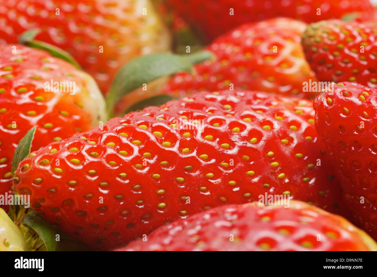 Full frame strawberries hi-res stock photography and images - Alamy