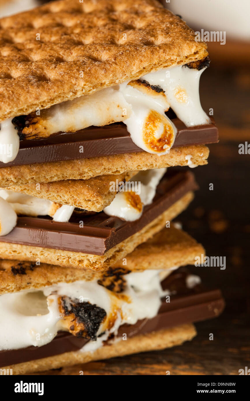 Homemade S'more with chocolate and marshmallow on a graham cracker