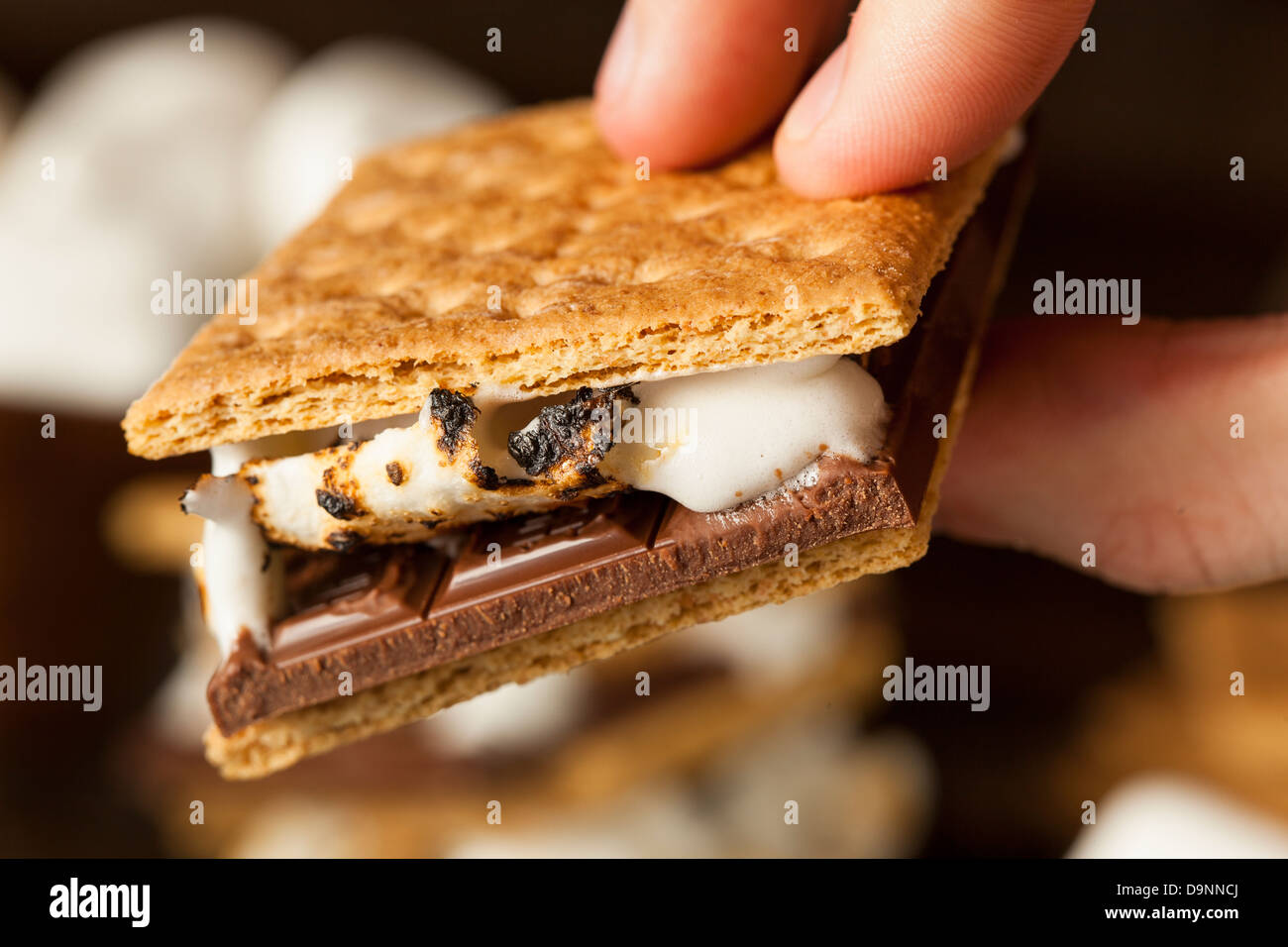Homemade S'more with chocolate and marshmallow on a graham cracker ...
