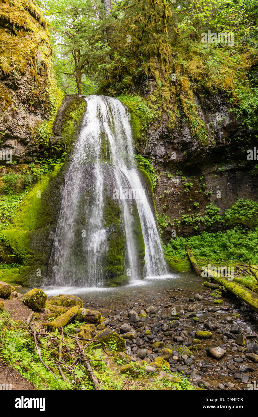 Dorena Oregon United States. Spirit Falls is a secluded waterfall on