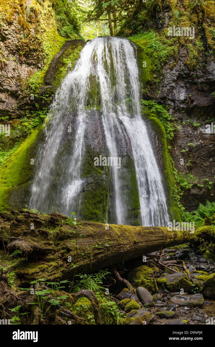 Dorena Oregon United States. Spirit Falls is a secluded waterfall on Alex Creek in the Row River
