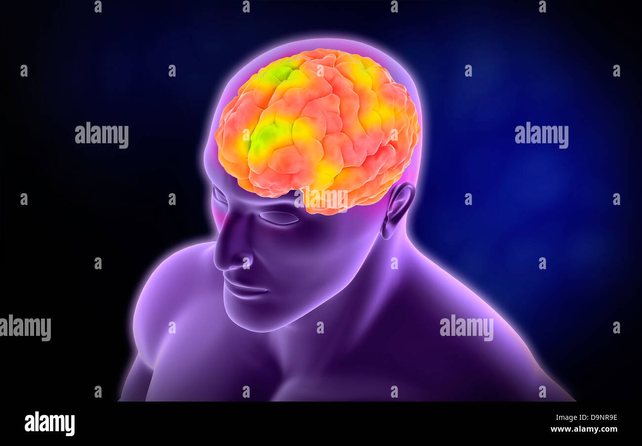 Conceptual image of human brain. Stock Photo