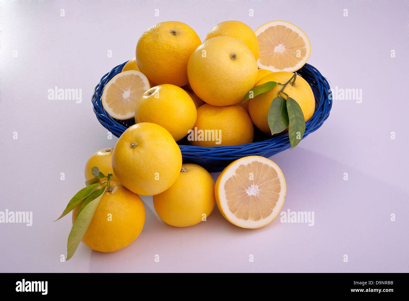 group of fresh california white grapefruit cut and whole Stock Photo