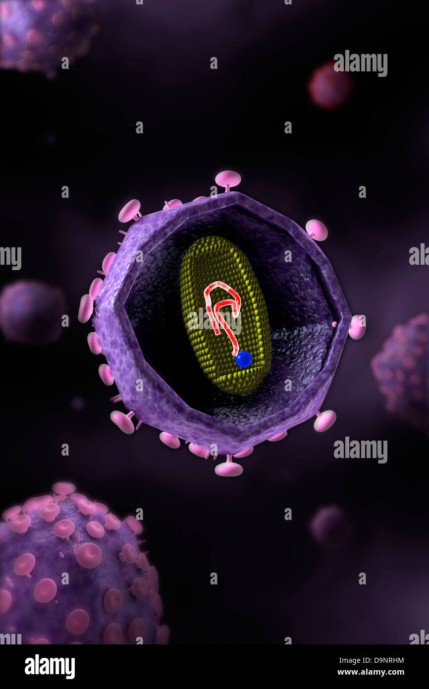 Microscopic view of HIV virus, cross section. Stock Photo