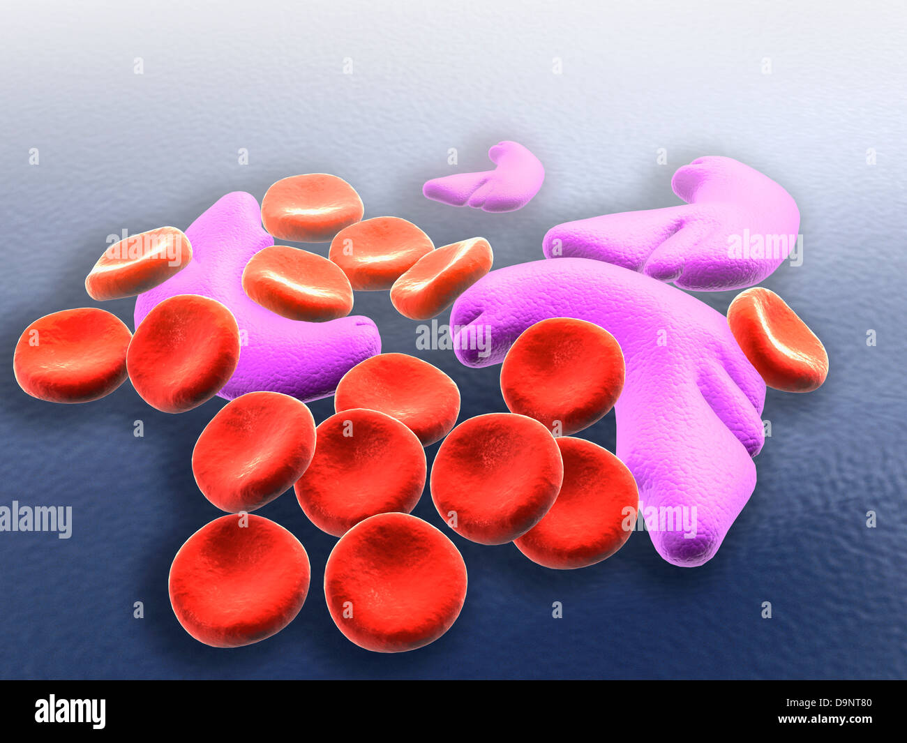 Conceptual image of sickle cell anemia Stock Photo