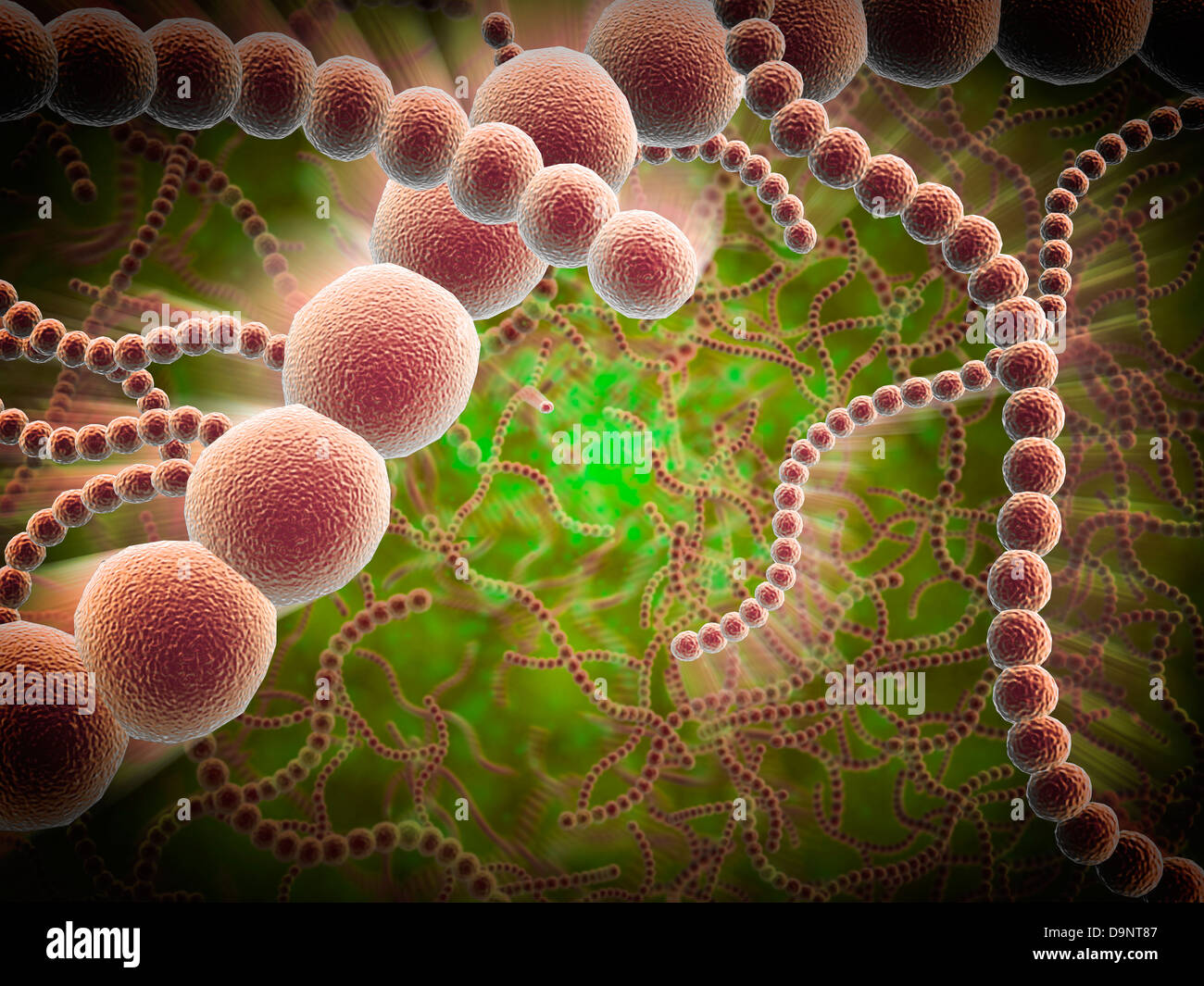 Microscopic view of Streptococcus pneumoniae. Stock Photo