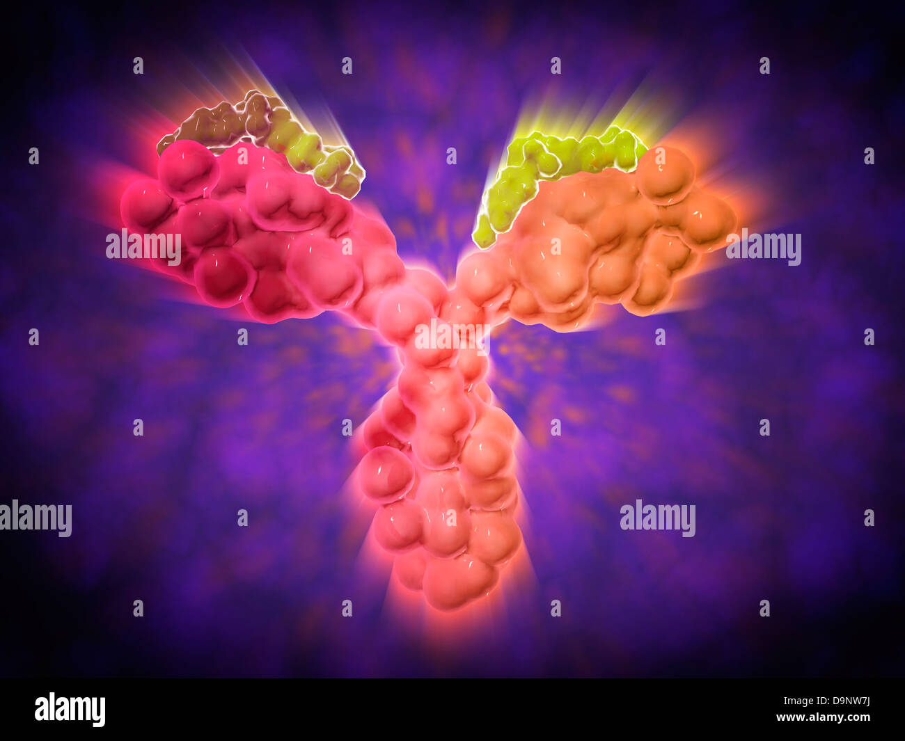 Antibody Under Microscope