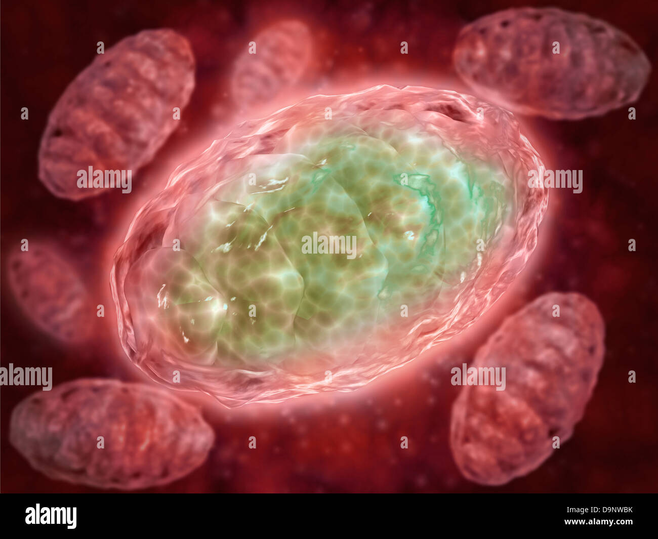 Microscopic view of Mitochondria. Stock Photo