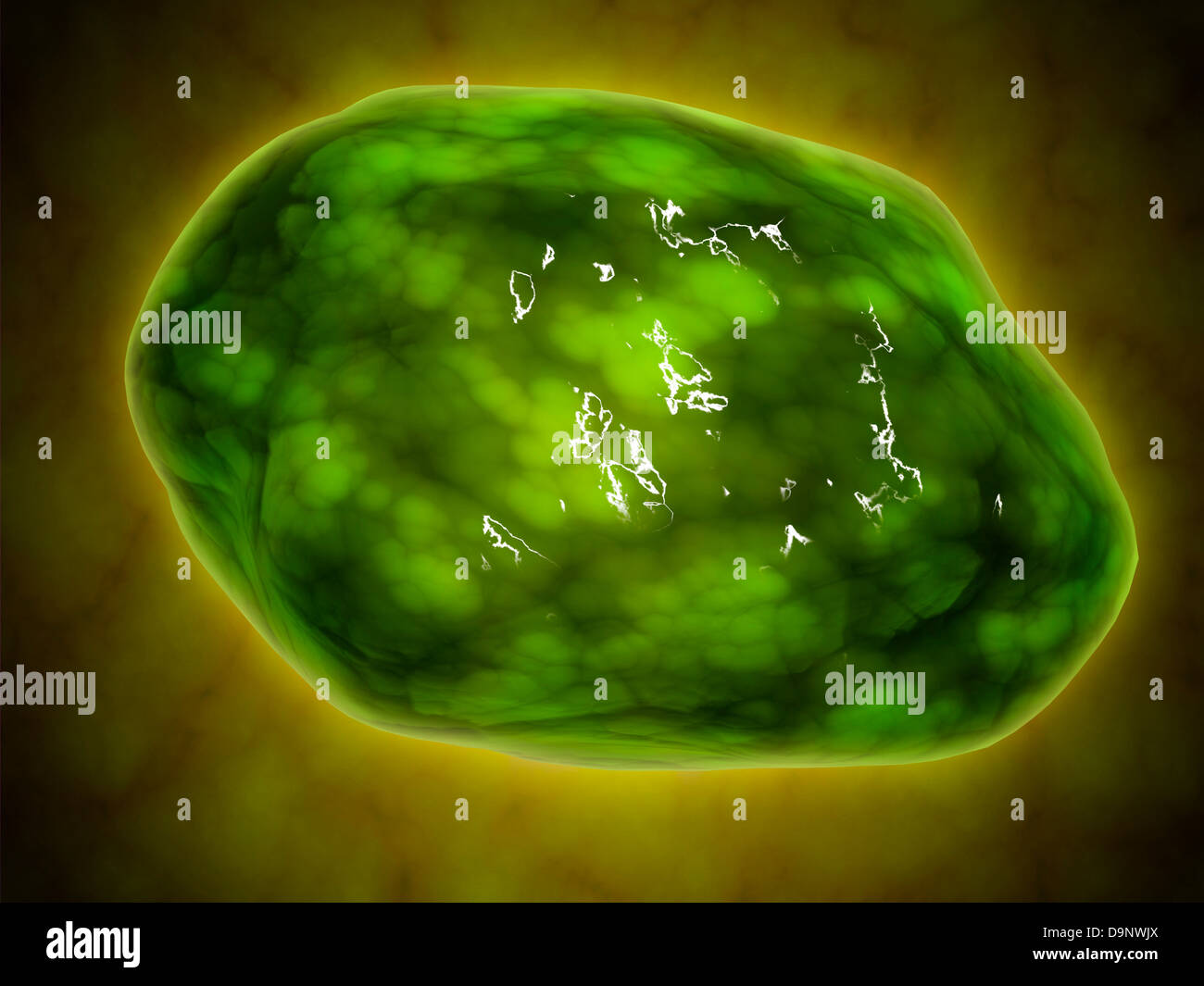 Conceptual image of lysosome. Stock Photo