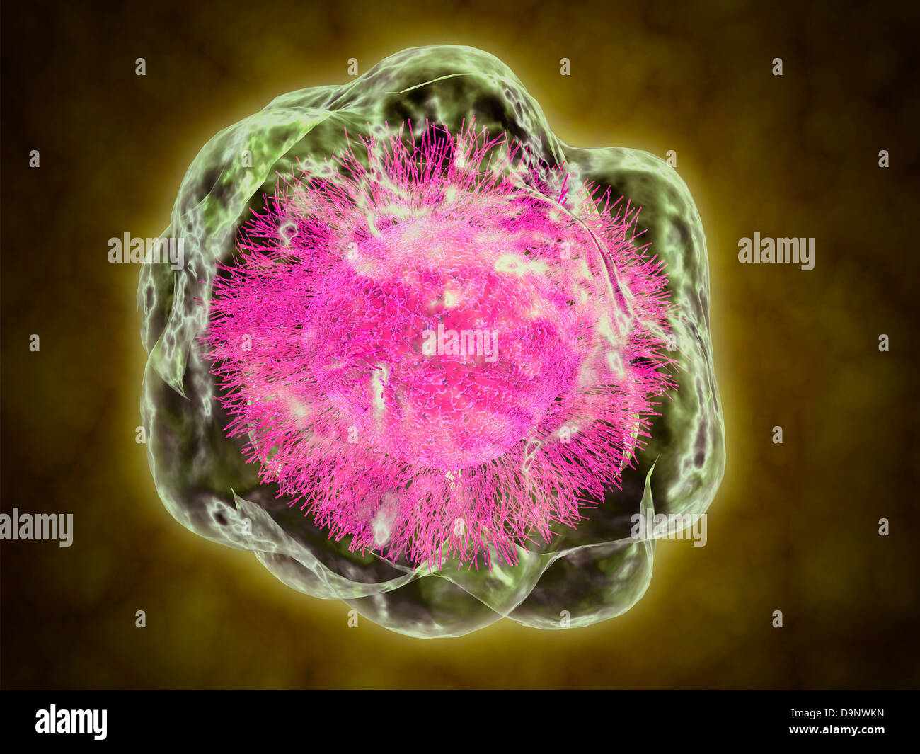 Conceptual image of cytoskeleton. Stock Photo