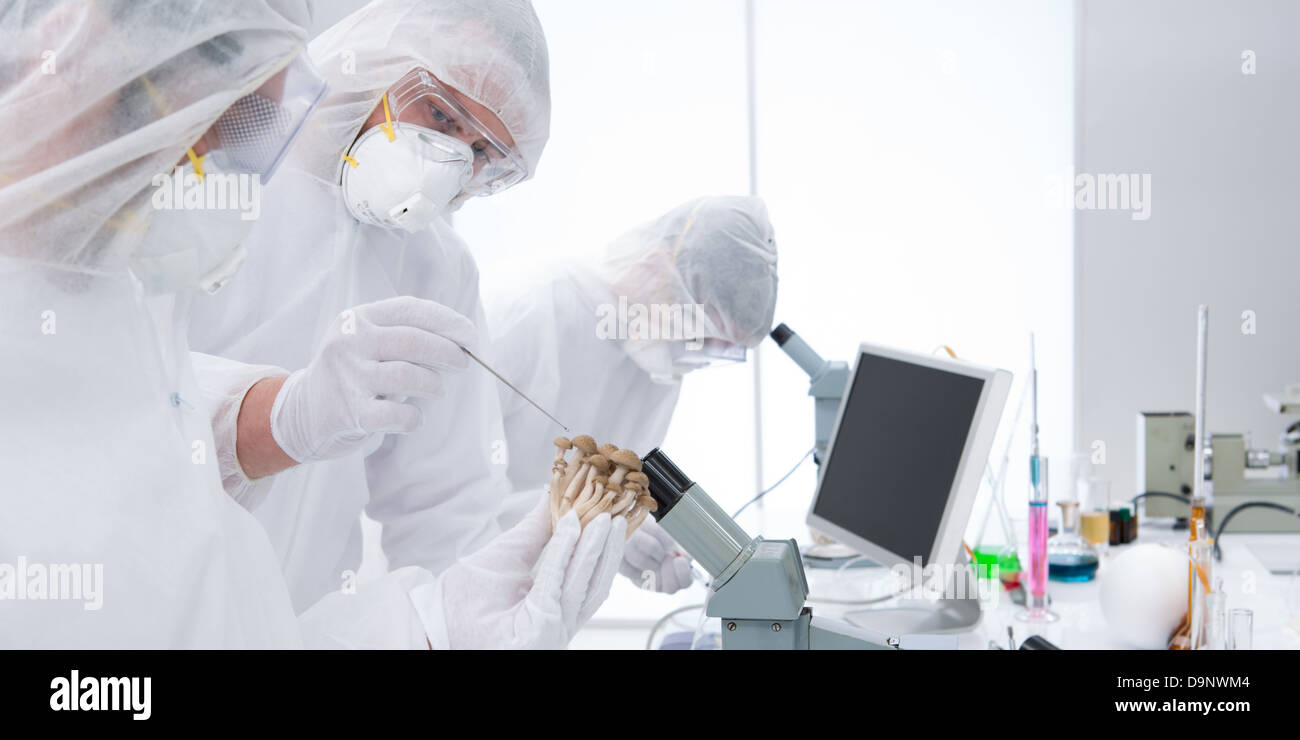 generalview of three scientists in a chemistry lab manipulating lab
