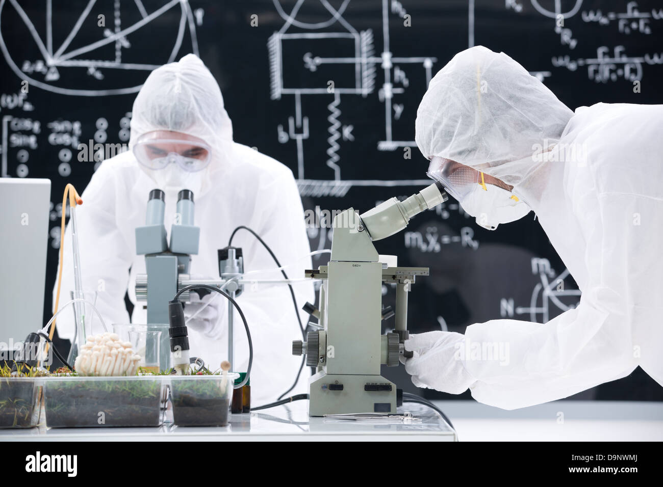 close-up of two scientists manipulating microscopes in a chemistry lab on a worktable with a blackboard on the background Stock Photo