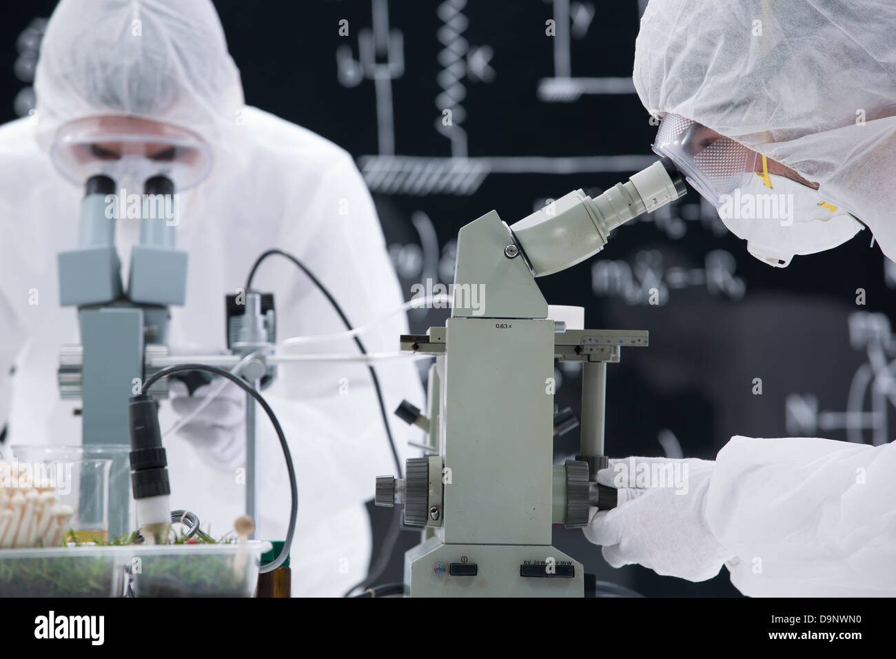 close-up of two people in a chemistry lab analyzing under microscope Stock Photo