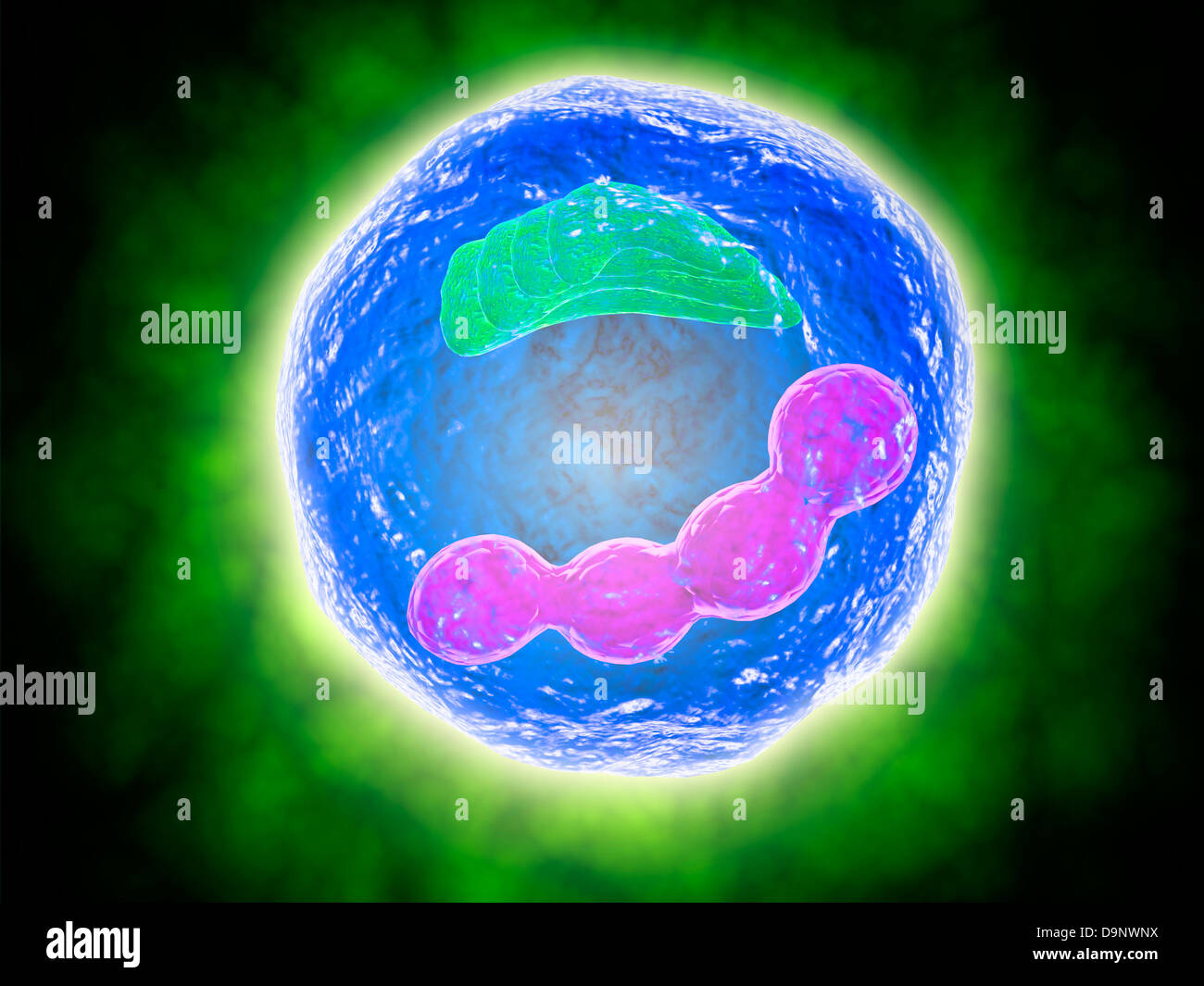 Conceptual image of human cell. Stock Photo