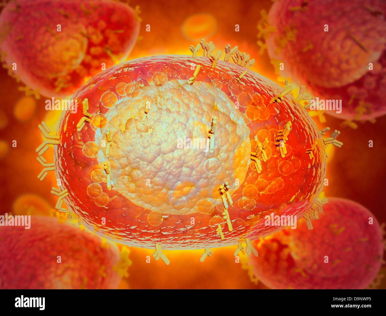 Microscopic view of a mast cell found in connective tissue. Stock Photo