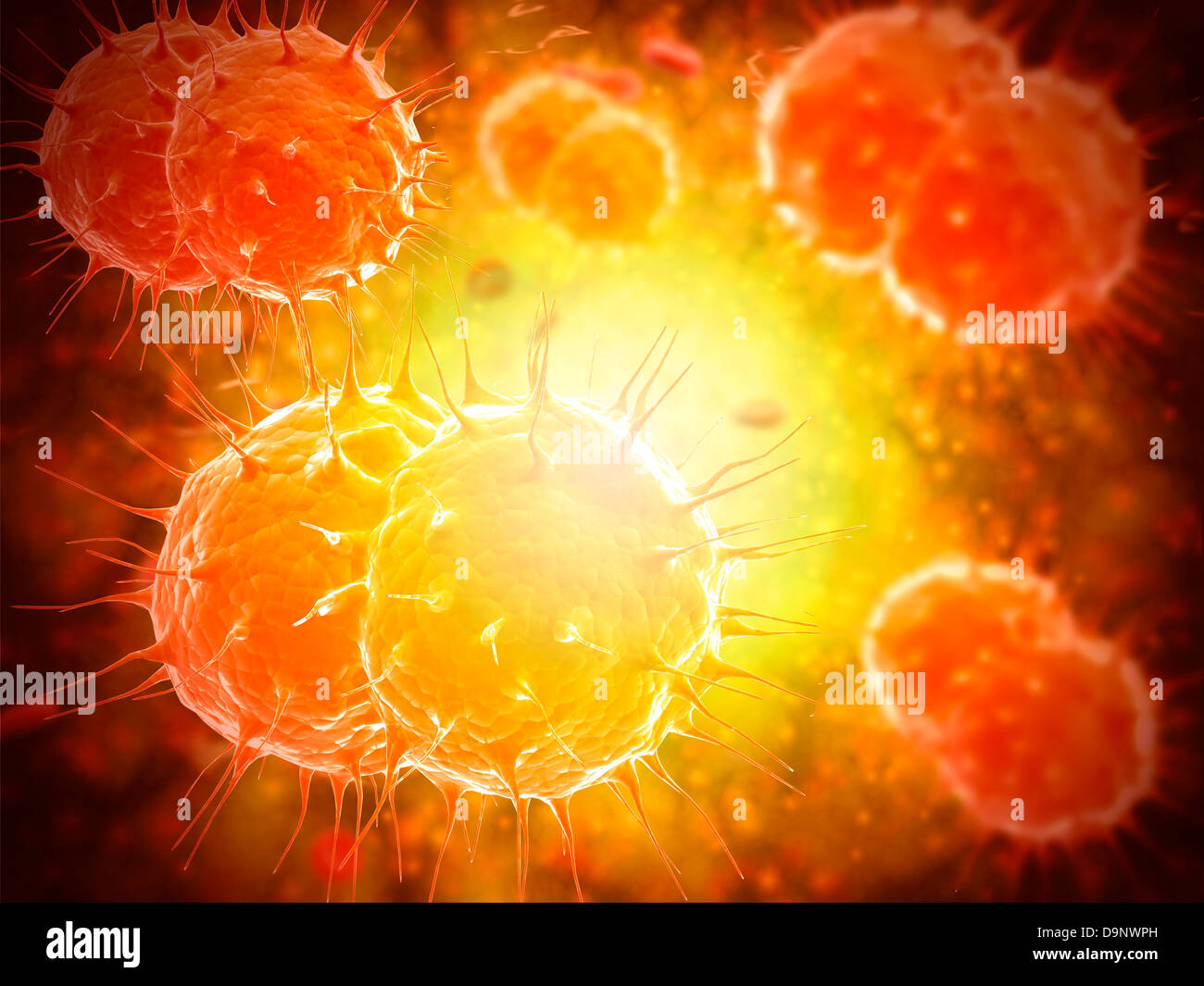 Microscopic view of Neisseria gonorrhoeae. Stock Photo