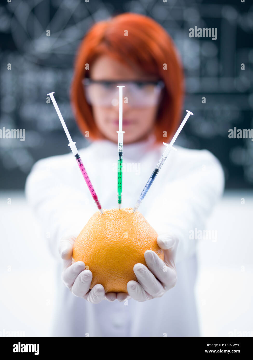 macro of a handheld injected grapefruit by a woman in a chemistry lab Stock Photo