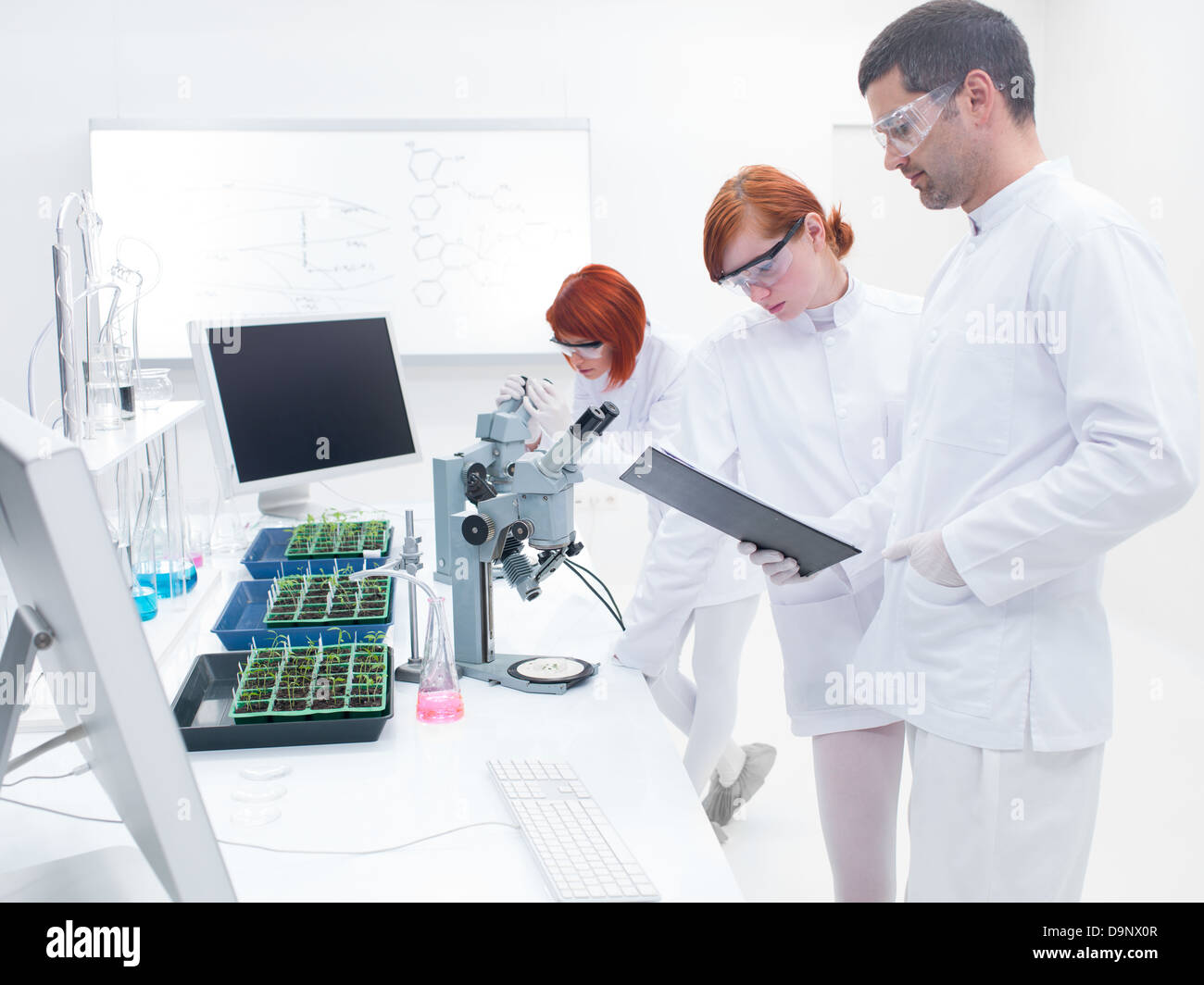sideview of a researcher teaching and supervising two women in a