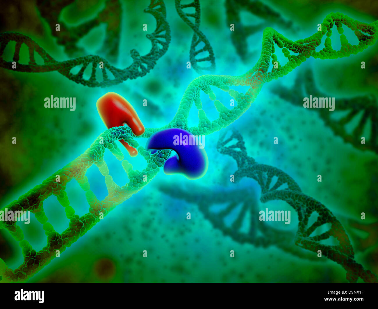 Microscopic view of DNA binding. Stock Photo