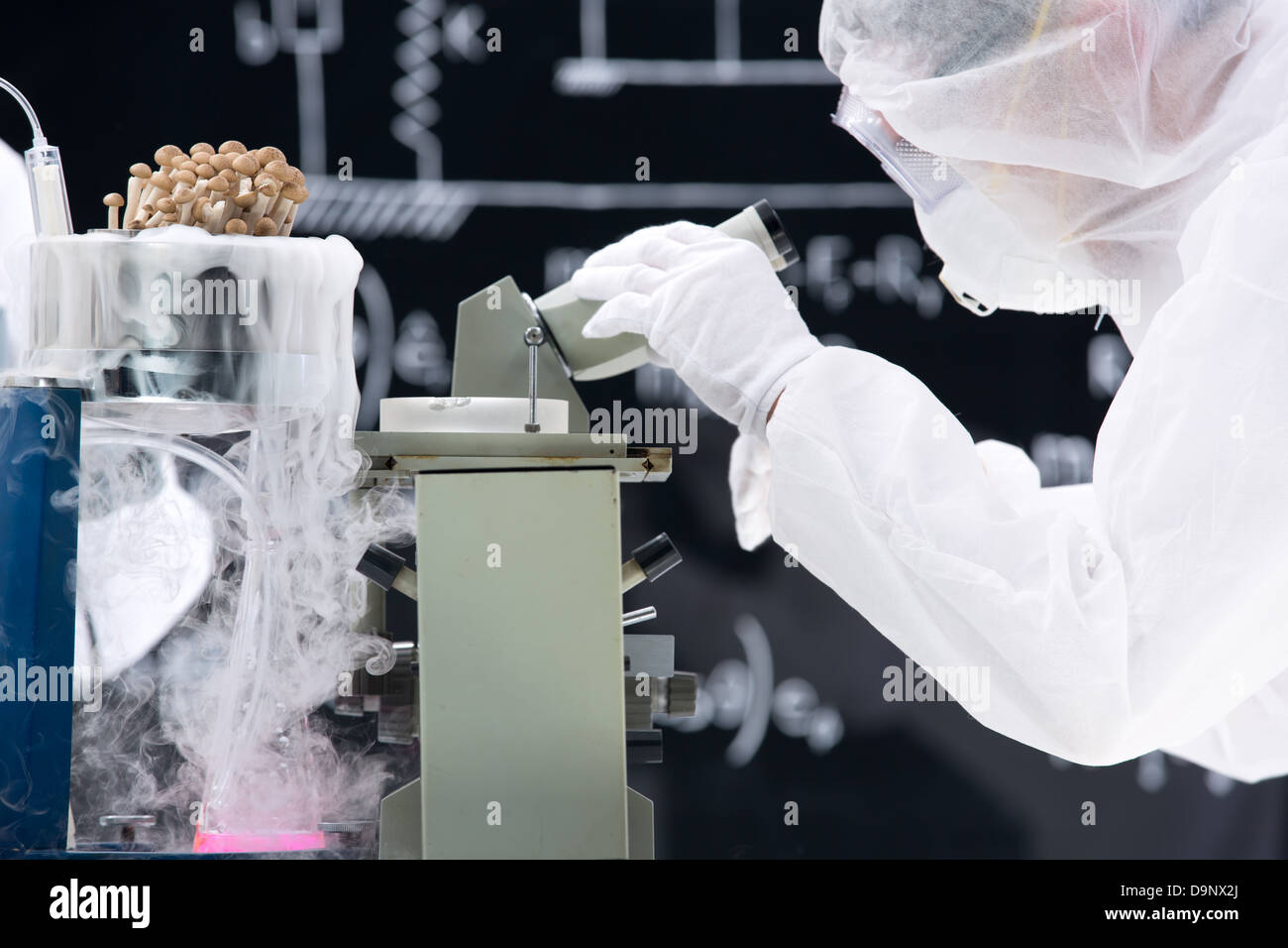 close-up of man analyzing under microscope in a chemistry lab around lab tools with mushrooms in gas and a blackboard on the background Stock Photo