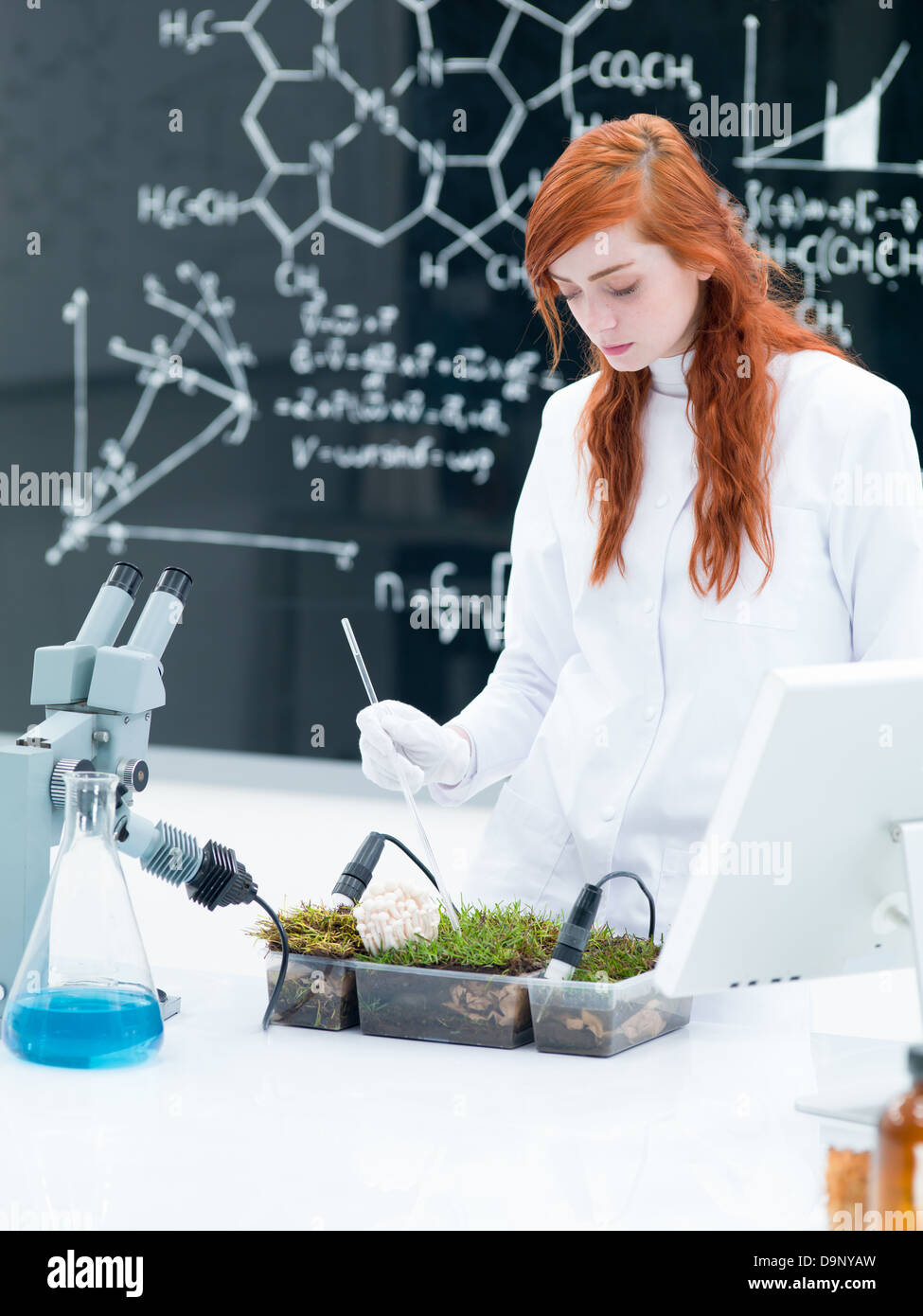 general-view of a student in a chemistry lab conducting a grass ...