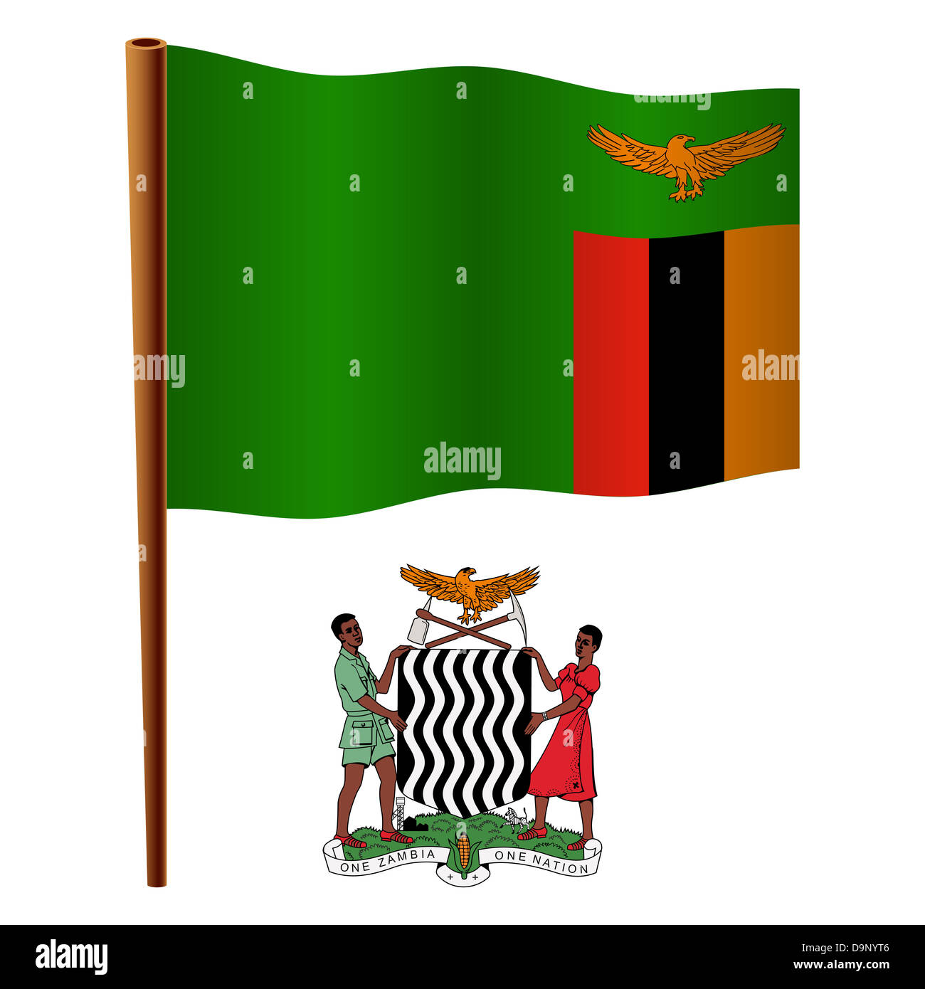 zambia wavy flag and coat of arm against white background, vector art