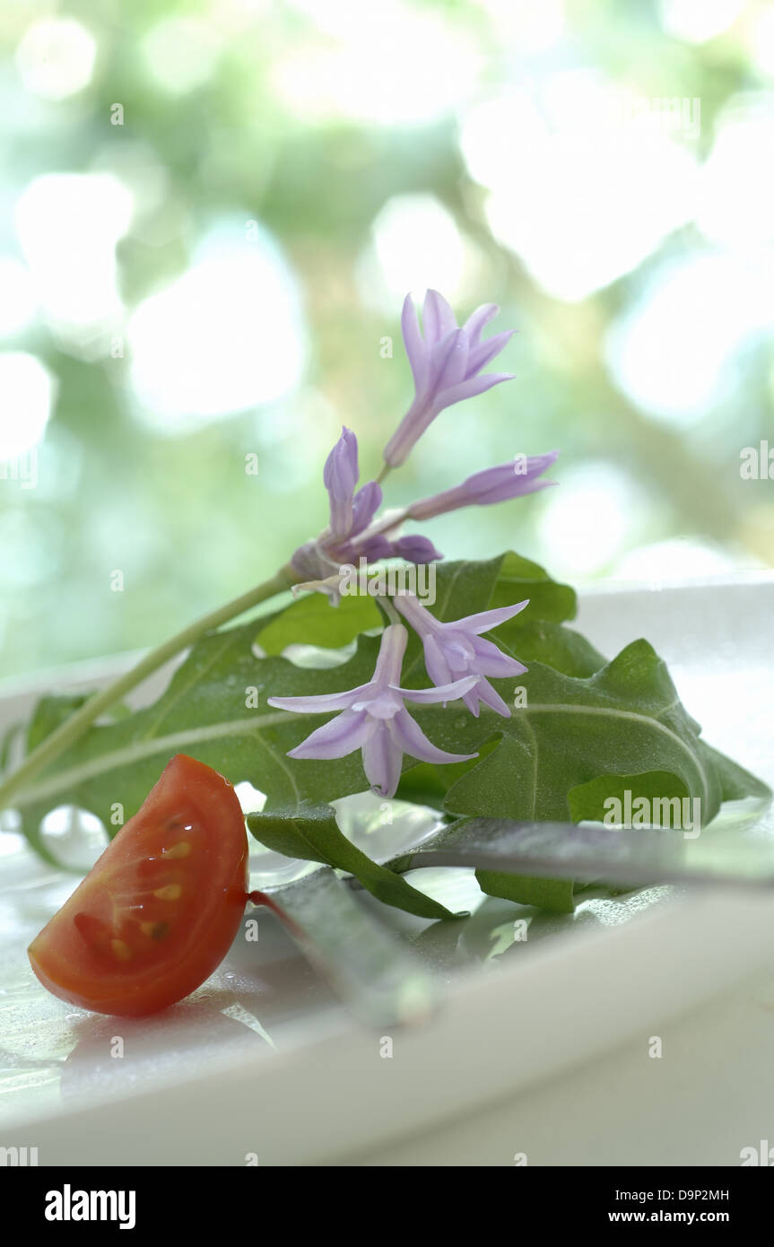 Lettuce with edible flowers Stock Photo Alamy