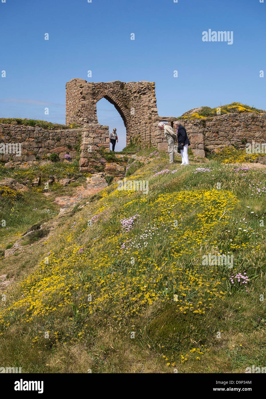 Grosnez Castle Ruin, cliff West Coast, Jersey, Channel Islands Stock Photo - Alamy