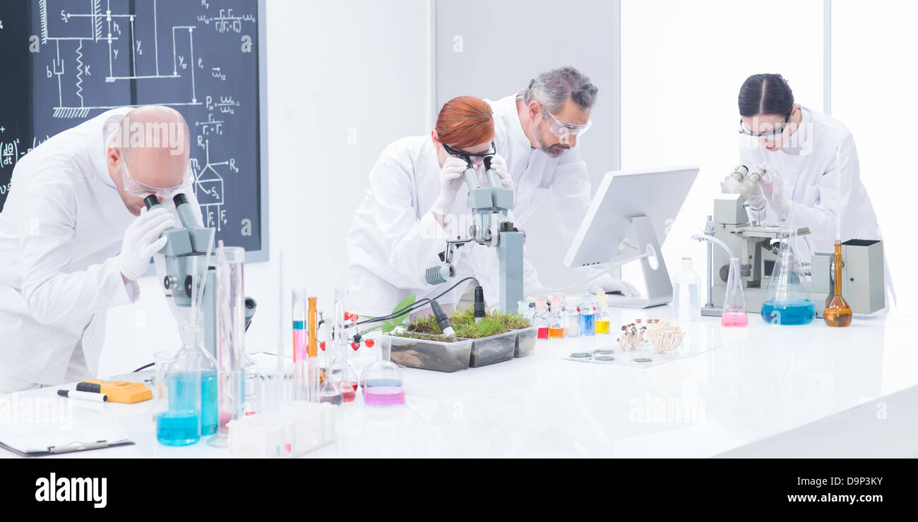 close-up of researchers in chemistry lab analyzing under microscope on a worktable around lab tools and colorful liquids and a b Stock Photo